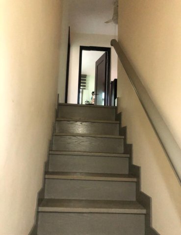 元嶺 95080030
