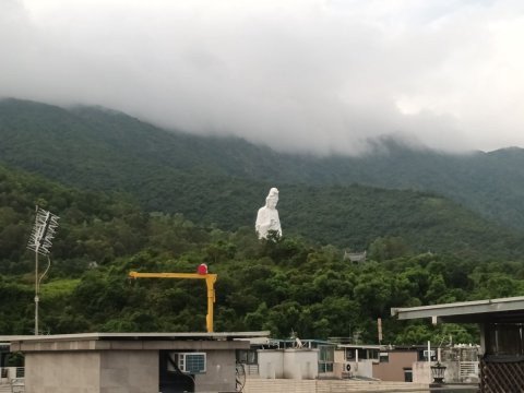 洞梓 95080030