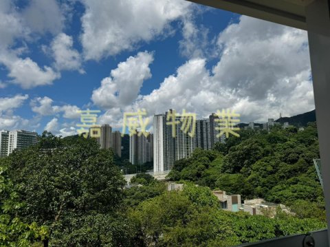 銅鑼灣新村 @ EMILY 95080096