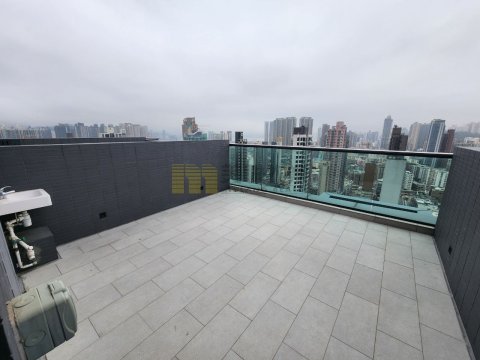 瓏碧 九龍城 頂層 1671894 售盤
