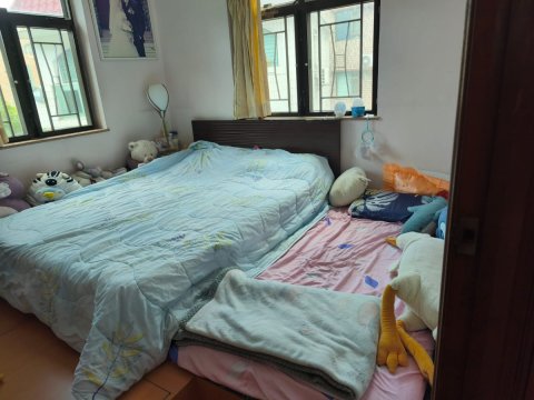 大尾督村 95080030
