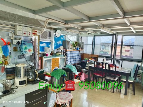 井頭村 @ EMILY 95080096