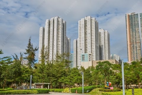 安宁花园 将军澳 中层 1674044 售盘