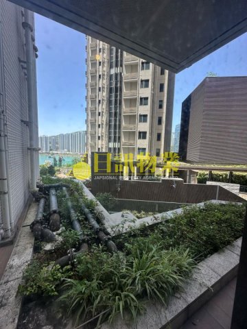 海之戀 愛炫美 第05C座