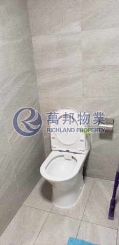 翠林苑 大埔 低层 W155291 售盘
