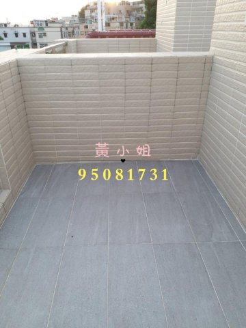大美篤村  95081731