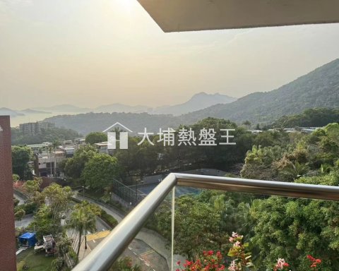 翡翠花园 大埔 中层 023523 售盘