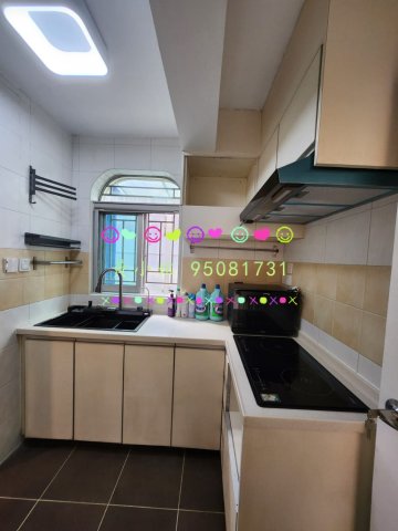 布心排  95081731