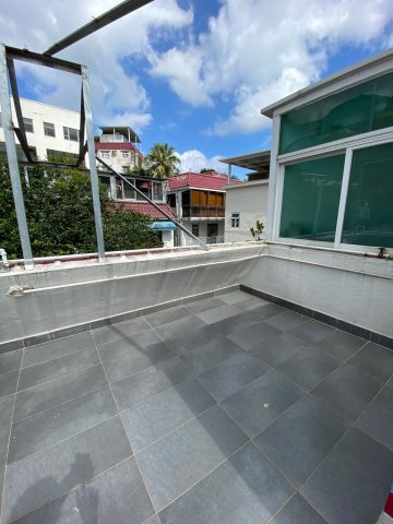 樟樹灘 @ EMILY 95080096