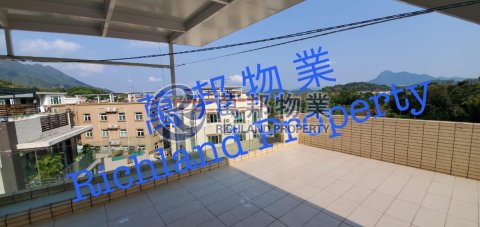 村屋 大埔 全幢 R163776 售盤