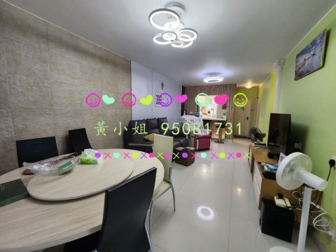 布心排  95081731
