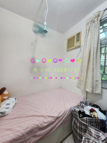坑下莆  95081731