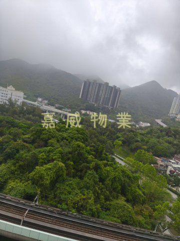 花園城 @ EMILY 95080096