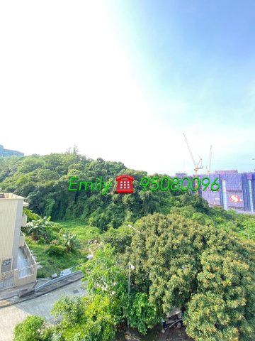 樟樹灘 @ EMILY 95080096