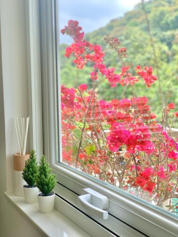 桐梓圍下村
