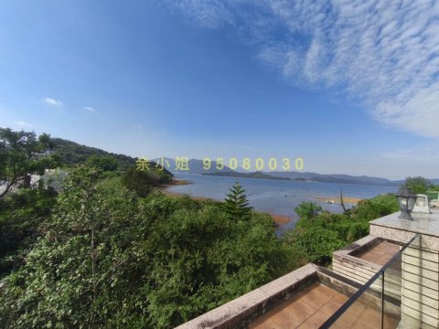 泥涌村 95080030