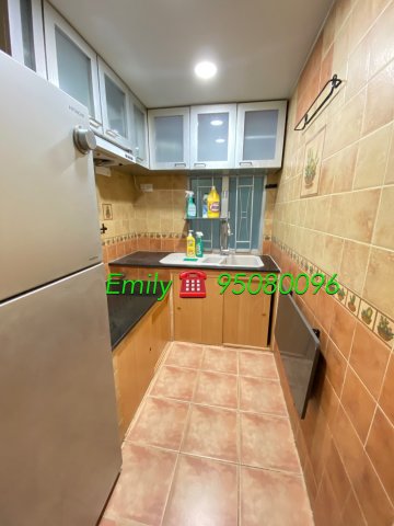 多石村 @ EMILY 95080096