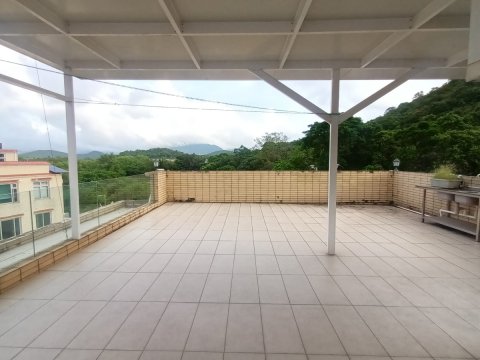 洞梓圍下村 95080030