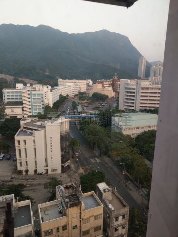 嘉喜大厦 黄大仙 高层 N125085 售盘