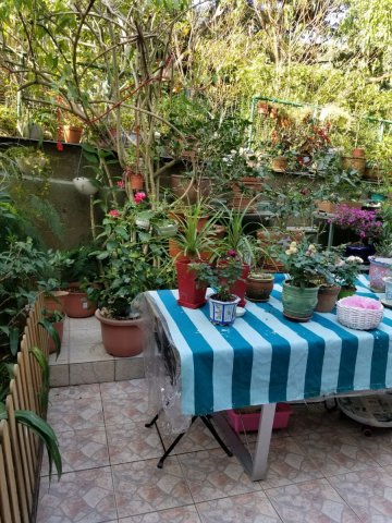 落路下 @ EMILY 95080096