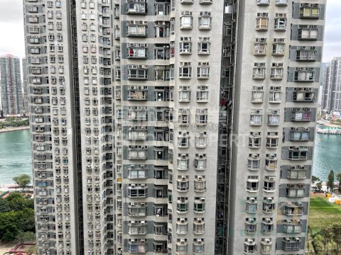 內園套則🌳廳大房大