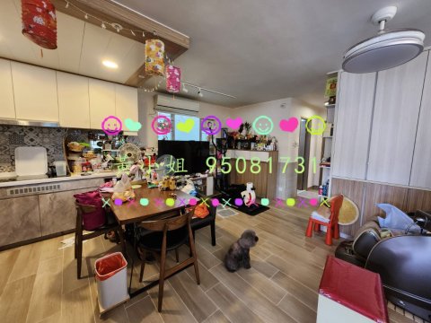 桐梓圍下村  95081731