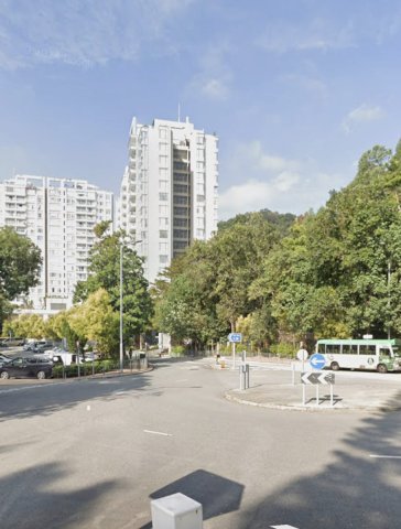 銅鑼灣新村 95080030