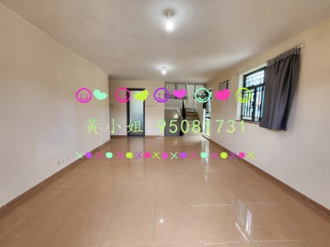 坑下莆    95081731