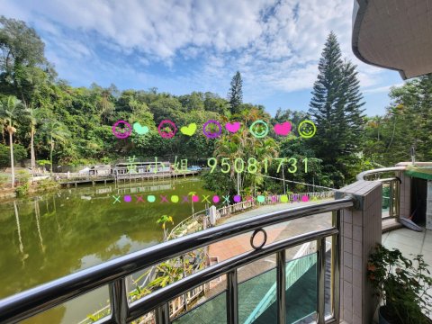 大美篤村   95081731