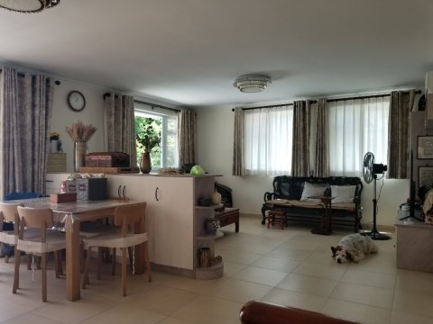 林村 95080030