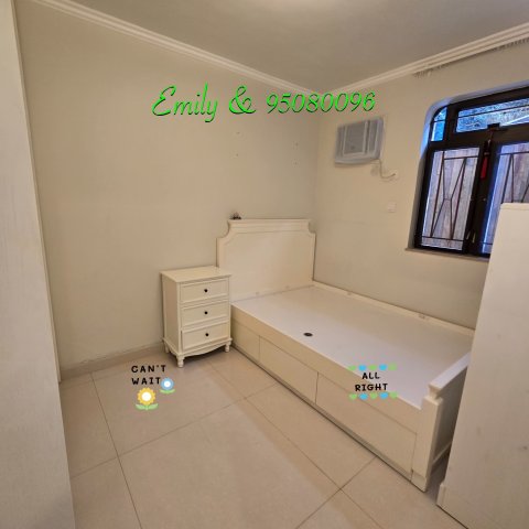 排頭村 @ EMILY 95080096