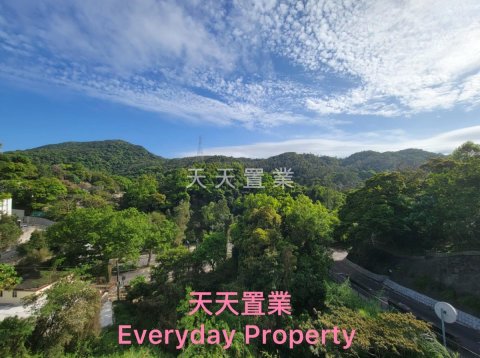 騰龍台