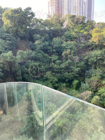 何文田山畔 第02座