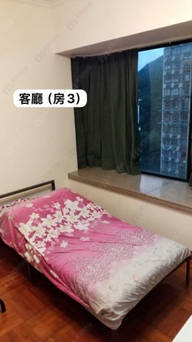 新都城 將軍澳 中層 1716214 售盤