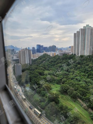 llam.com.hk