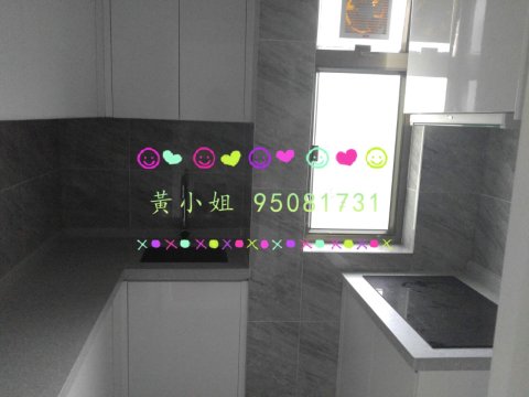 新屋家村  95081731