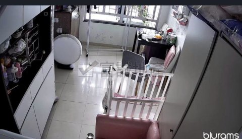 嘉强苑 横头磡 中层 F125195 售盘