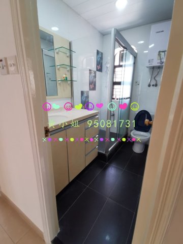 南華莆  95081731