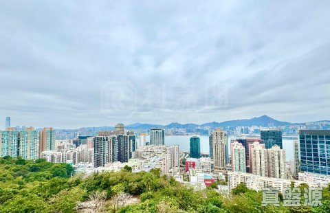 瓊峰園 北角半山 高層 1681754 售盤