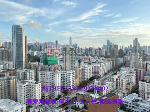 成龍居 九龍城 T145165 售盤