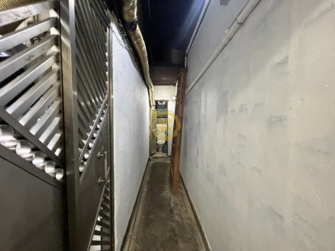 桃苑