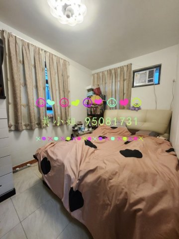 元嶺村    95081731