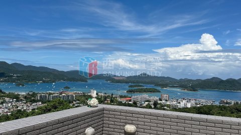 菠蘿輋 西貢半山