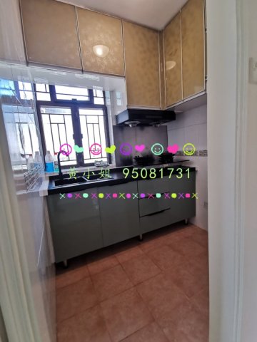 南華莆  95081731