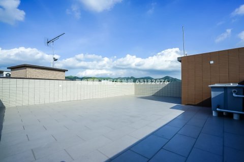 錦田 元朗 全幢 1664138 售盤