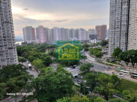 恒安村 馬鞍山 T176123 售盤