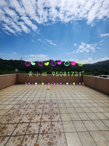 坑下莆    95081731