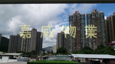 大藍寮 @ EMILY 95080096