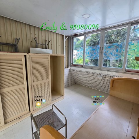 排頭村 @ EMILY 95080096