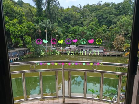 大美篤村  95081731